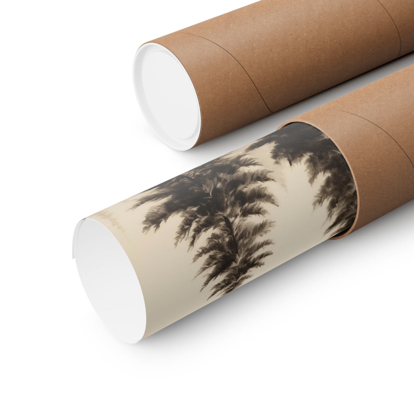 Winter Fir Trees Black and White Forest Matte Horizontal Poster Art Print