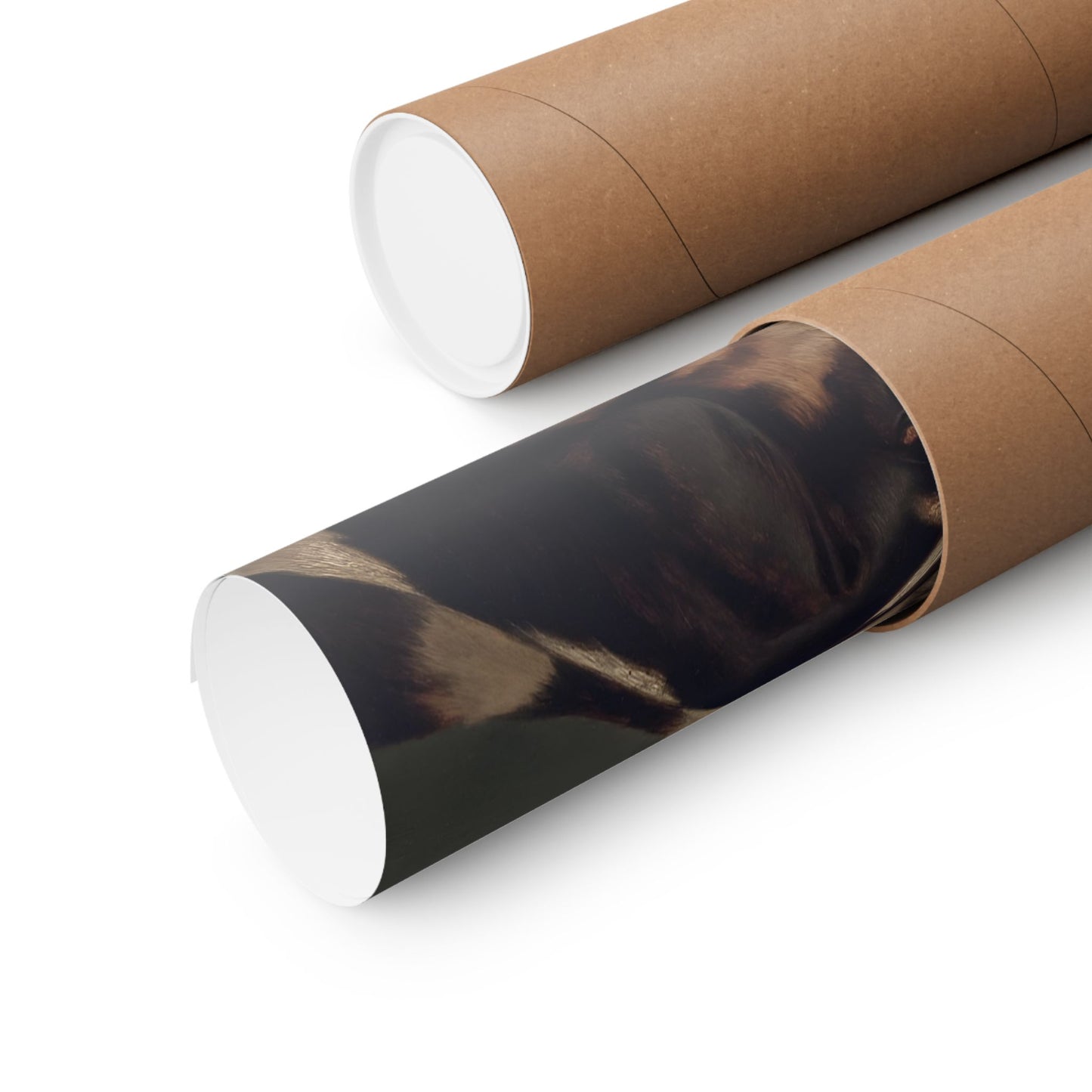 Trio of Hound Dogs Matte Horizontal Poster Art Print