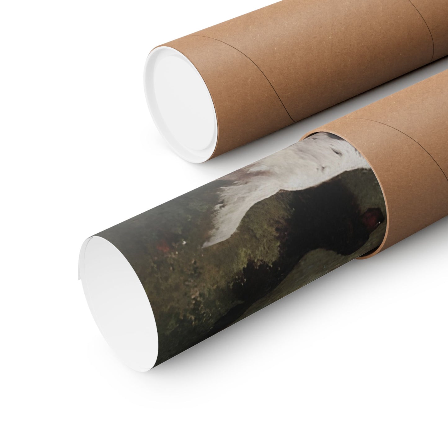 Dogs in the Woods Matte Horizontal Poster Art Print