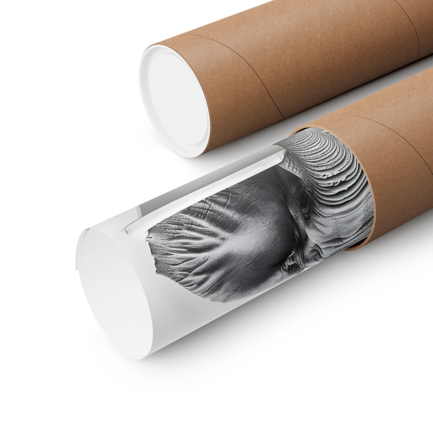 Baby Elephant in a Bathtub Black and White Matte Vertical Poster Art Print