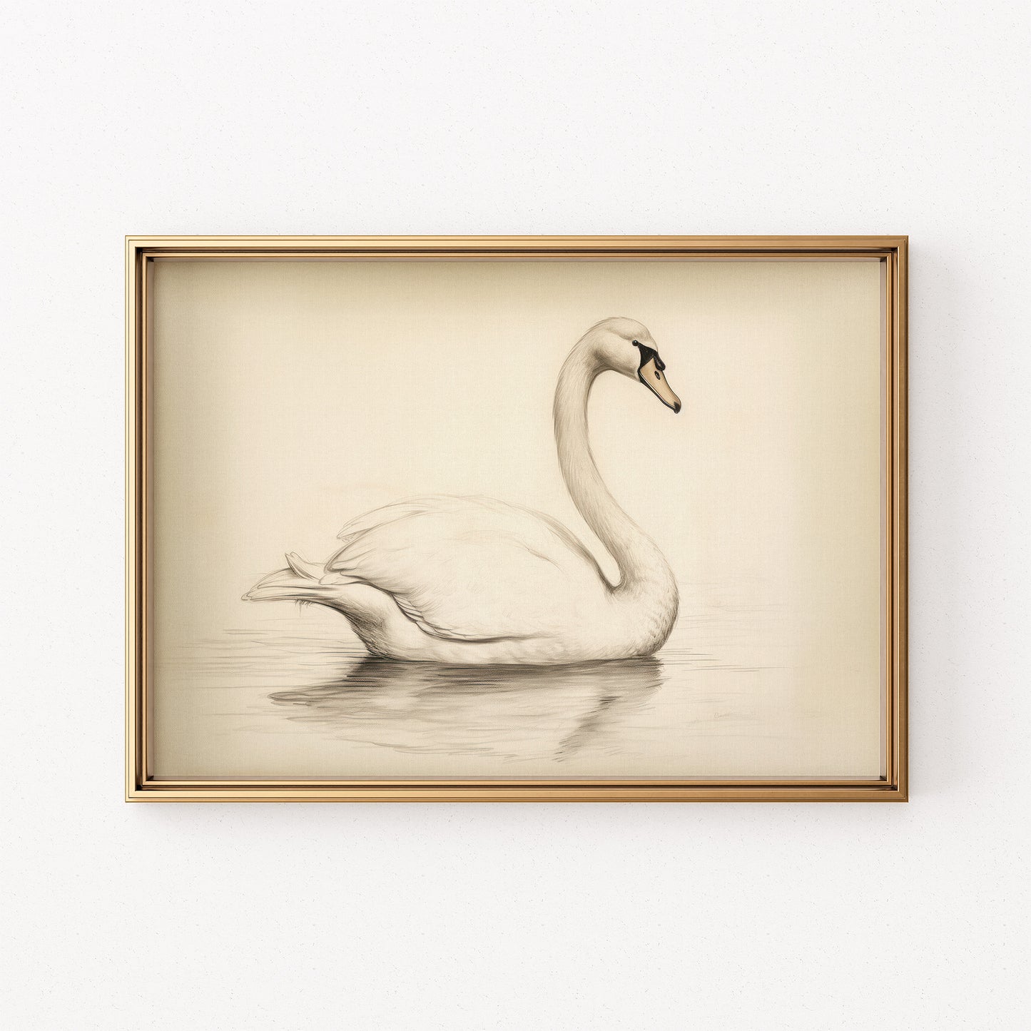 Black and White Swan Sketch Matte Horizontal Poster Art Print