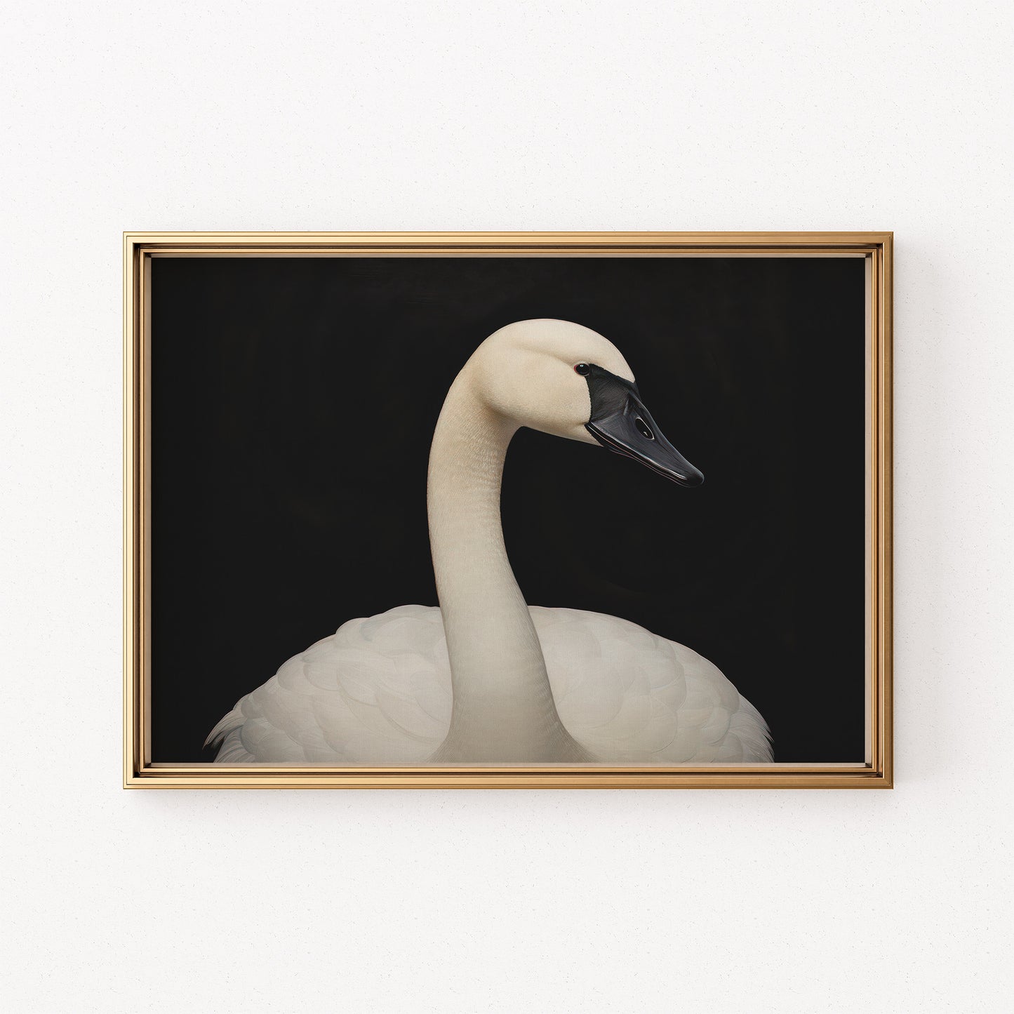 White Swan against Black Background Matte Horizontal Poster Art Print