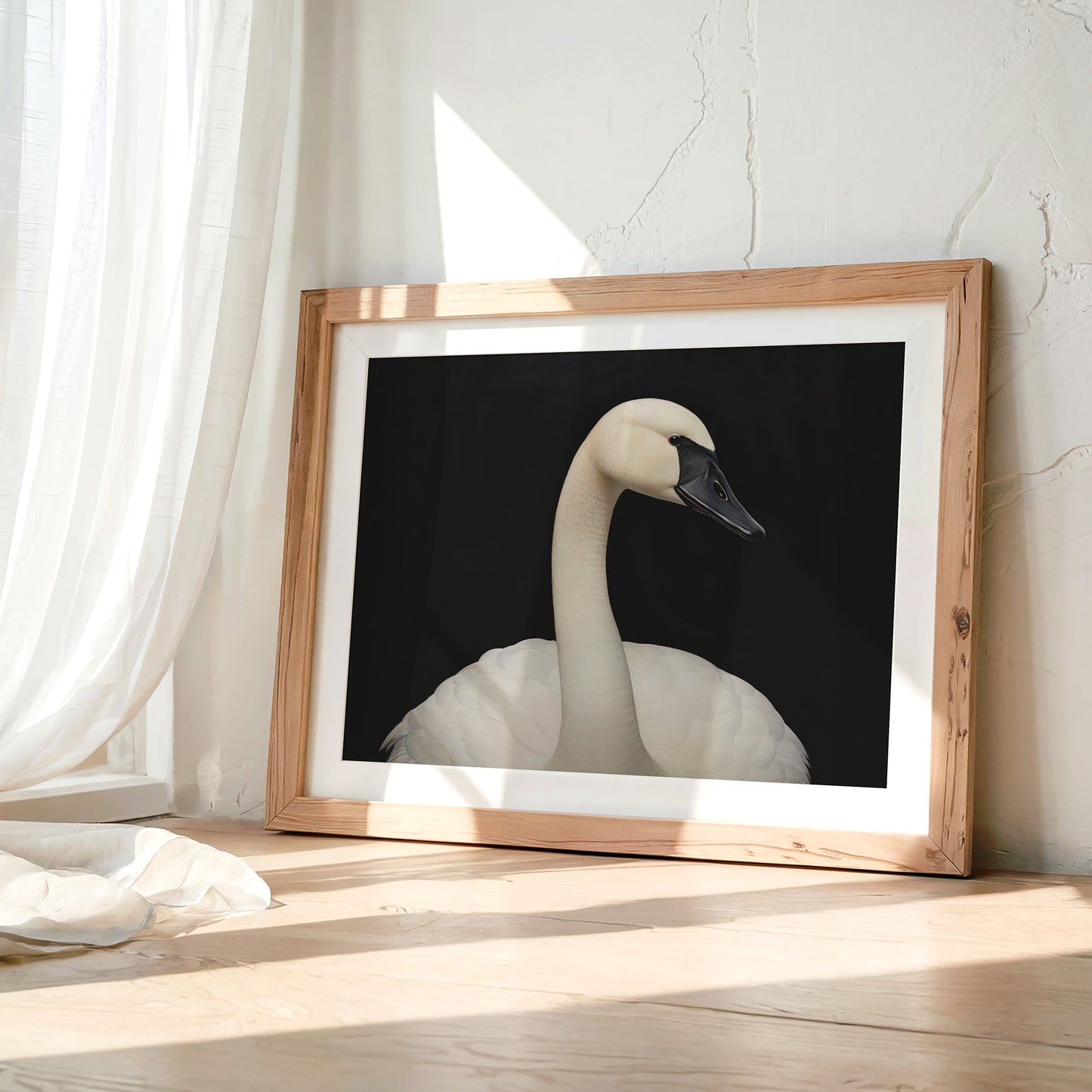 White Swan against Black Background Matte Horizontal Poster Art Print