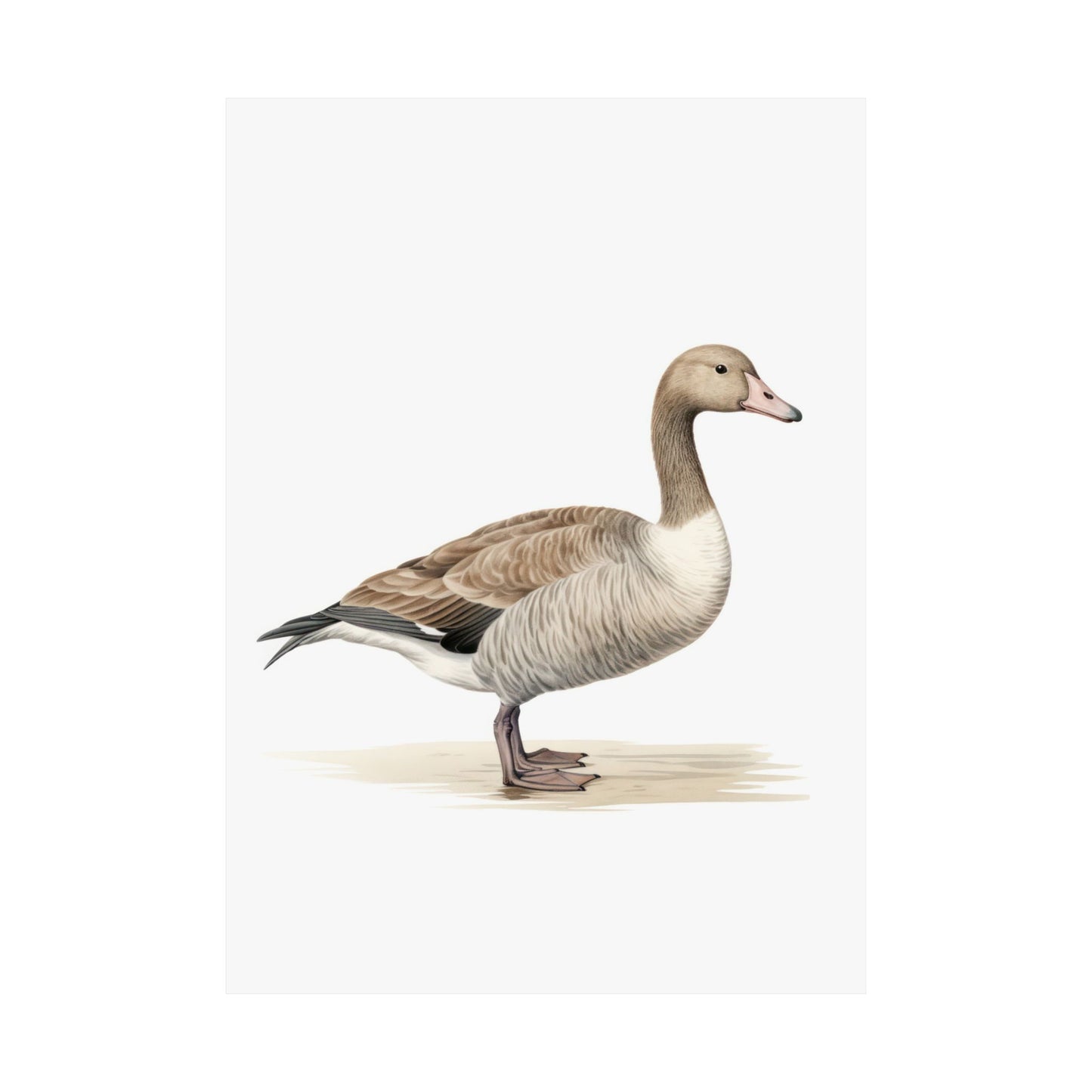 Whimsical Minimalist Duck Portrait Matte Vertical Poster Art Print